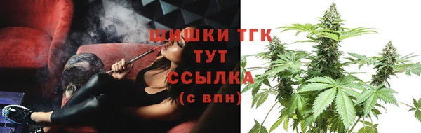 apvp Аркадак