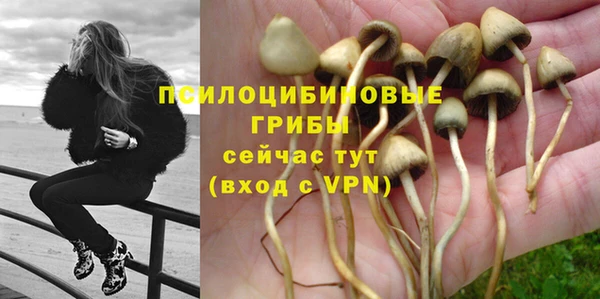 марки nbome Армянск