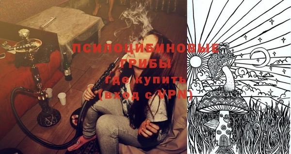 apvp Аркадак