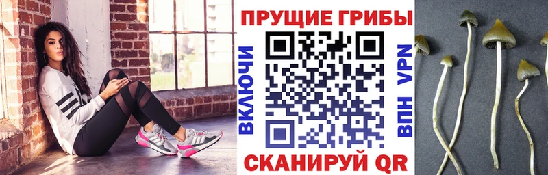 Галлюциногенные грибы ЛСД  мега рабочий сайт  Черняховск 