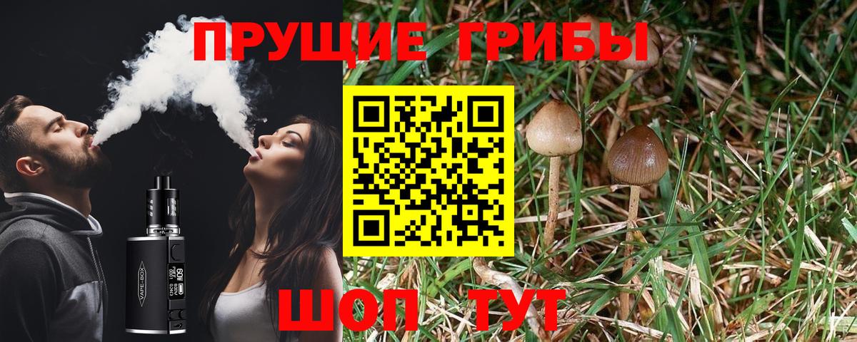 Галлюциногенные грибы Magic Shrooms Черняховск