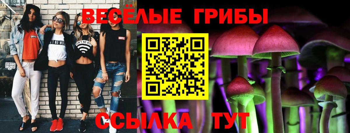 Псилоцибиновые грибы Psilocybine cubensis  Вход с VPN  Черняховск  Галлюциногенные грибы GOLDEN TEACHER 